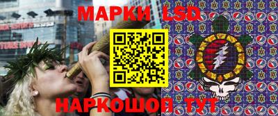 индика Будённовск