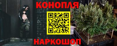 индика Будённовск