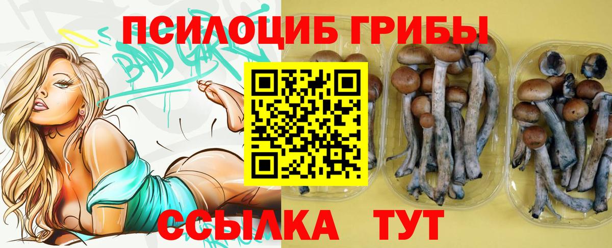 закладка  Галлюциногенные грибы GOLDEN TEACHER  Вход с VPN  Сунжа 